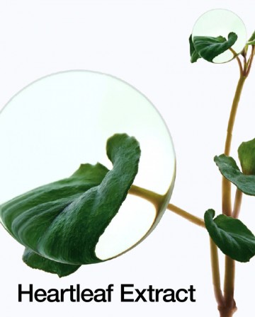 Anuausheartleaftoner1080x1346listing4