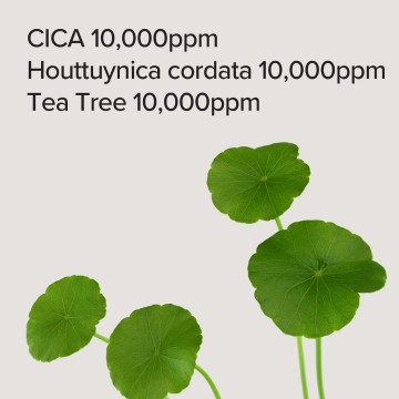 Cica houttuynia tea tree calming mask 4