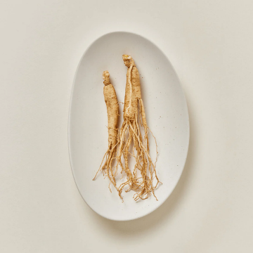 Ginseng moist