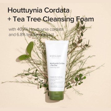Marymay houttuynia cordata  tea tree cleansing foam