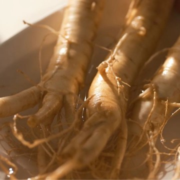 Revive serum ginseng  snail mucin 3